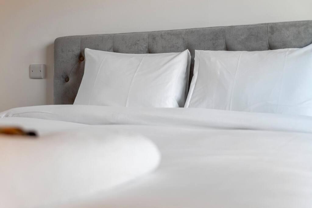 Stunning New 3 Bdr Duplex Wbalcony, East London Lejlighed Eksteriør billede